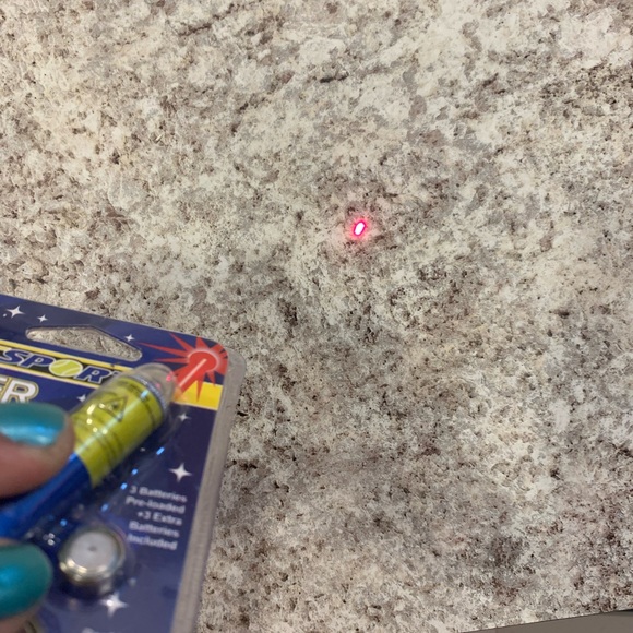 Cat or Dog play laser - Picture 3 of 6